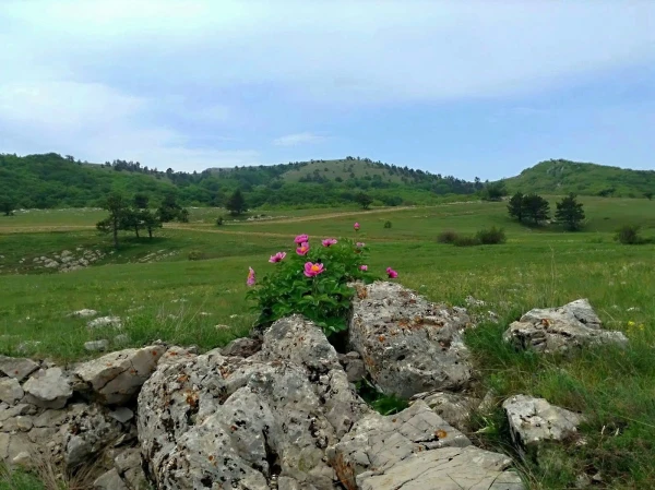 На плато