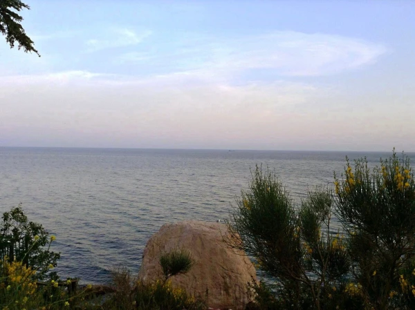 Парк над морем