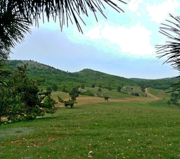 Ай-Петринская яйла