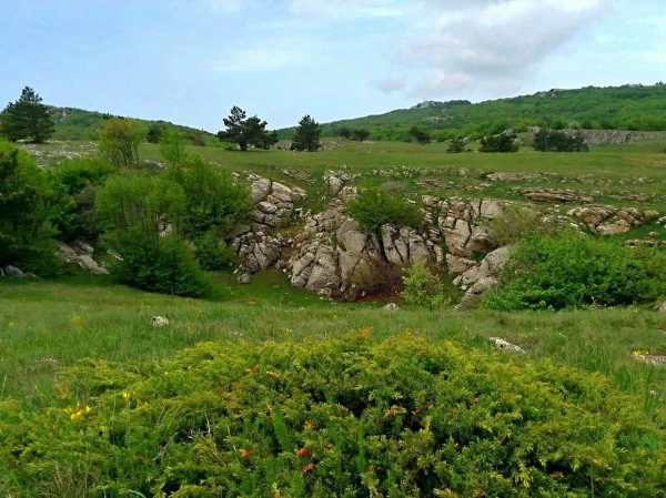Ай-Петринская яйла