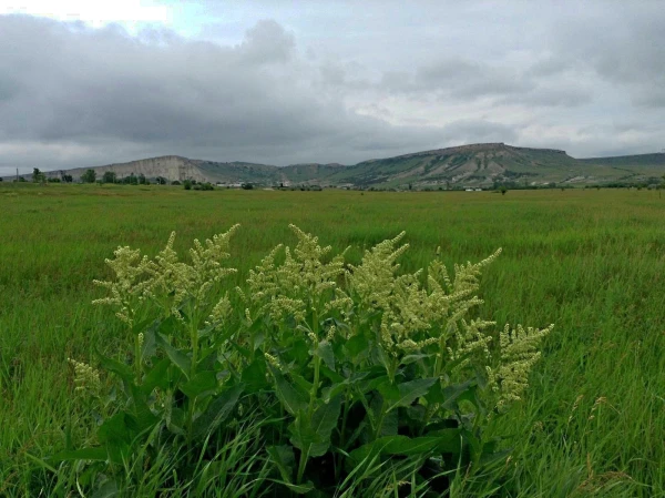 Крымская кругосветка. День шестой. 