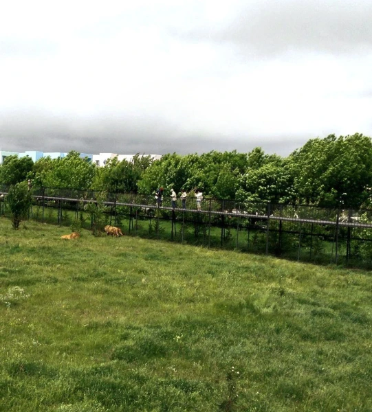 Мосты-переходы