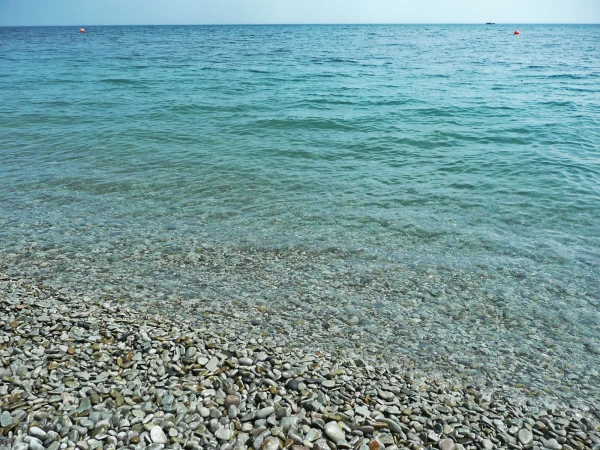 Море в Ялте