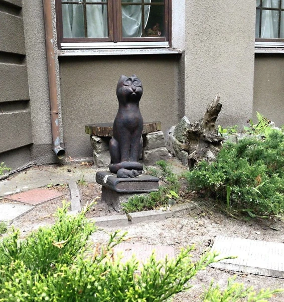 Кот Мур из новеллы Гофмана
