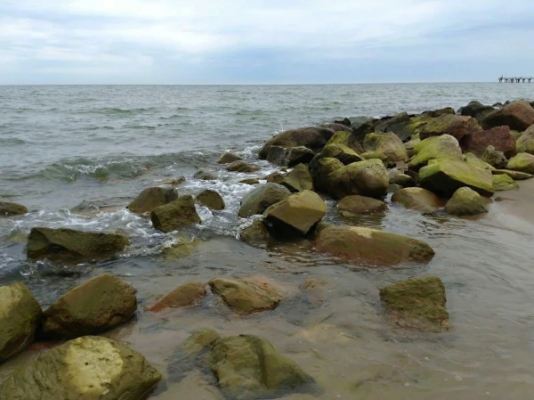 Вдоль берега моря