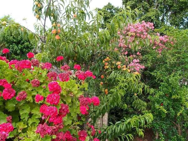 возле Roseberry