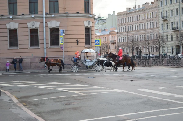 Лягушонка в коробчонке поехала