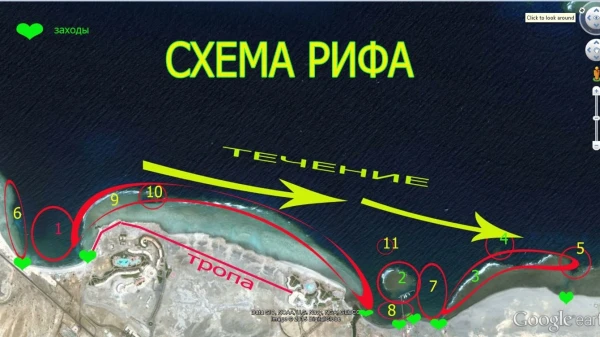 Возвращение в черепашье царство. Часть 2. Морская, эмоциональная..