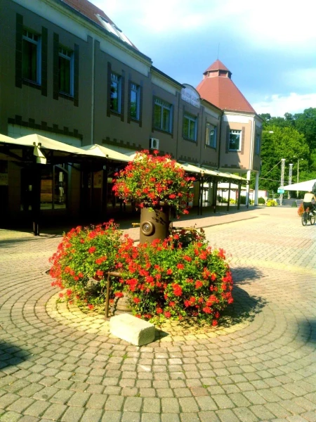 Питьевой фонтанчик.