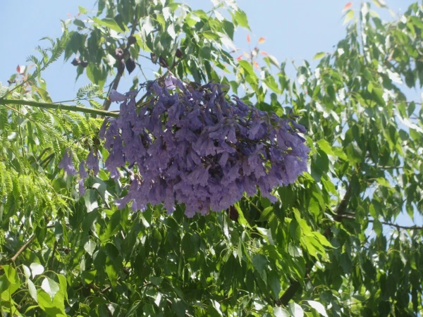 На улочках Като Пафоса