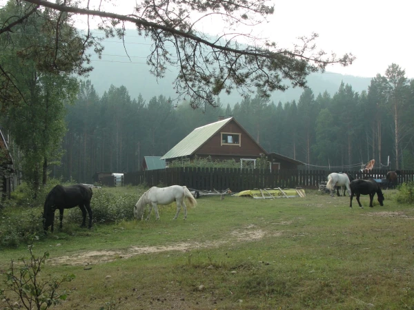 Утро Фотография сына.