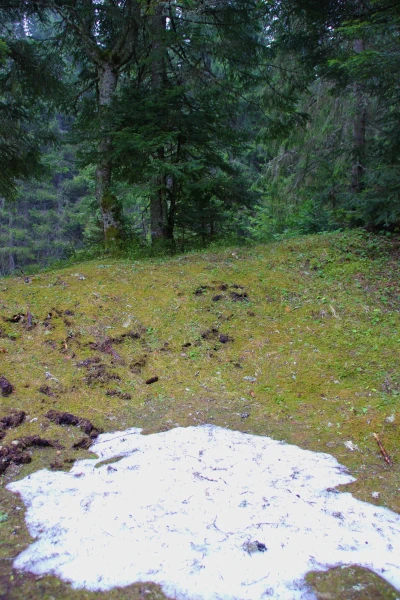 Снег Дурмитора.