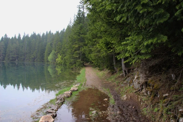 Тропинками Дурмитора.