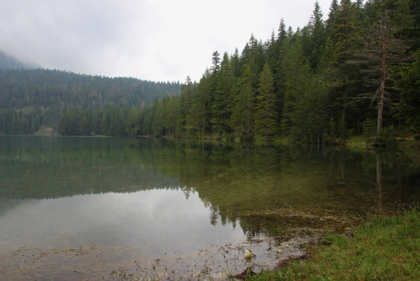 Царство реликтовой природы.