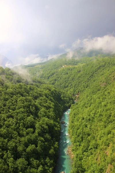 Каньон реки Тара.