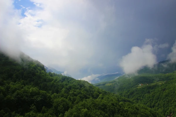 Каньон реки Тара.