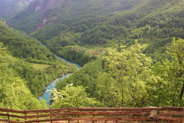 Река Тара.
