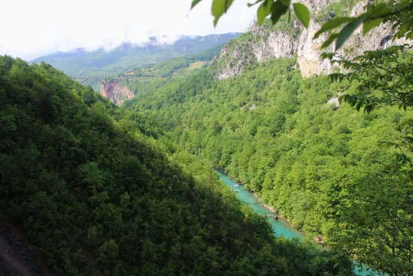 Каньон реки Тара.