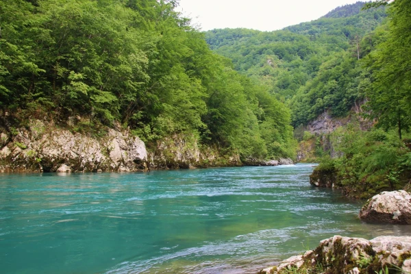 Малахитовая Тара.