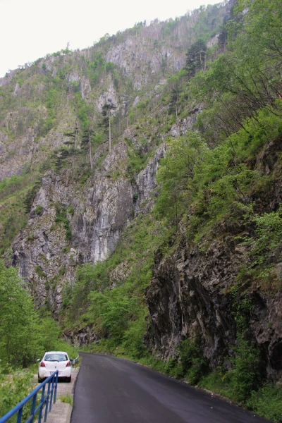 Каньон реки Тара.