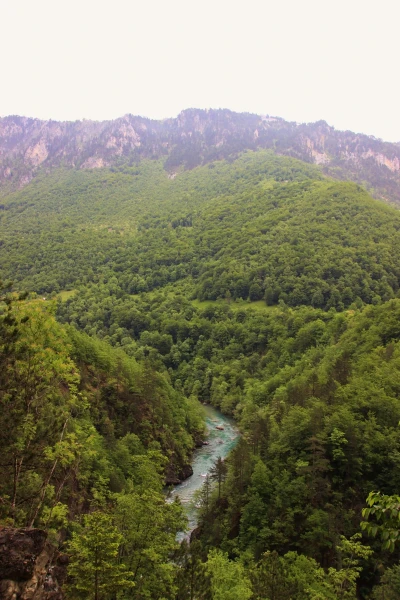 Река Тара.