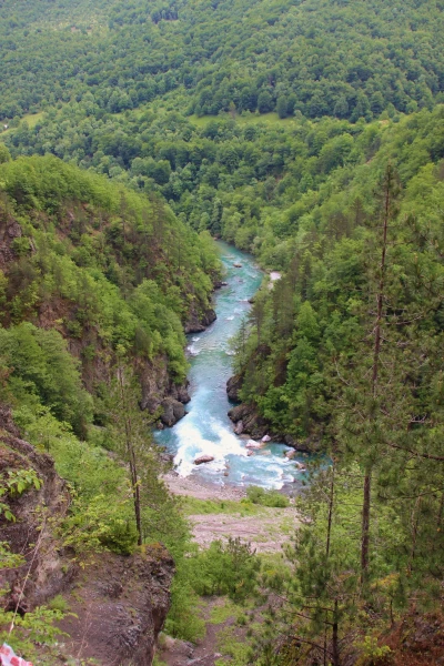 Река Тара.