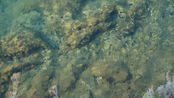 Прозрачнейшая водичка