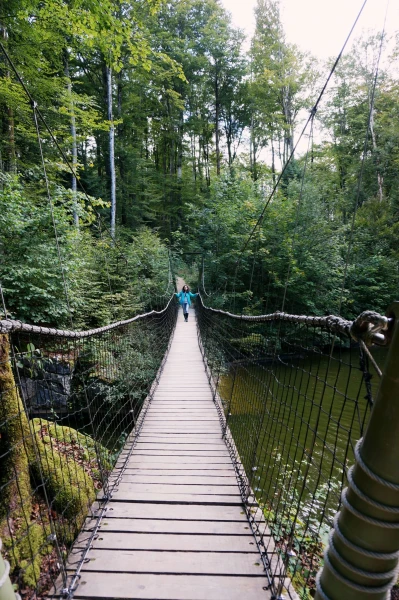 Доисторический парк (Prehisto-Parc)