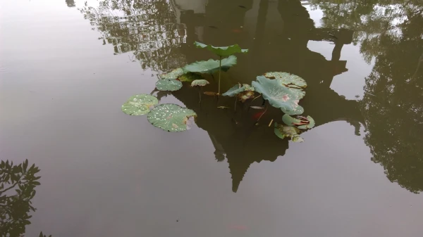 Пагода на одном столбе (Chùa Một Cộ)...