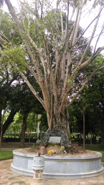 Пагода на одном столбе (Chùa Một Cộ)...