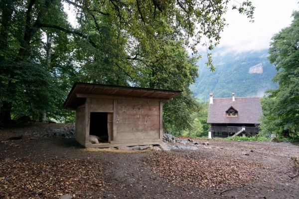 Свинарник