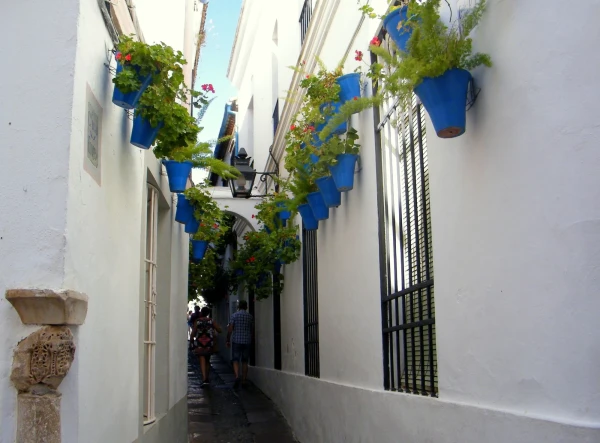 цветочная улочка Calle de las Flores
