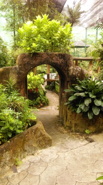 Kuala Lumpur Butterfly Park 