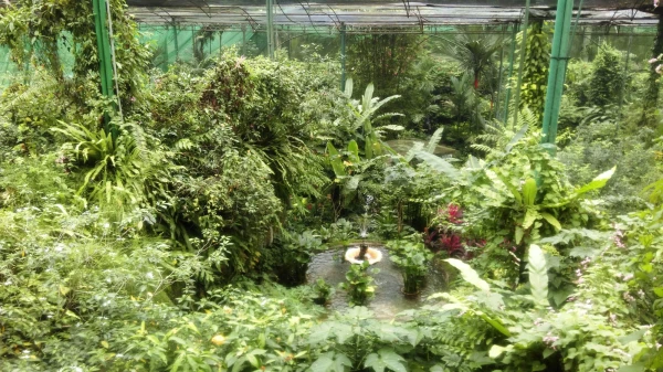 Kuala Lumpur Butterfly Park 