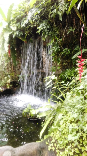 Kuala Lumpur Butterfly Park 