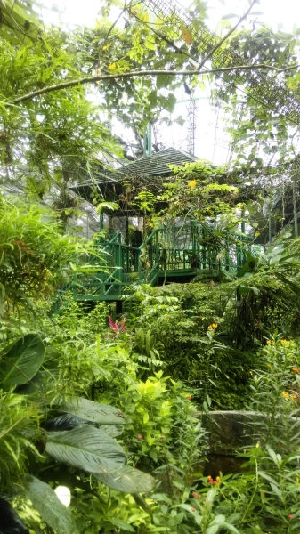 Kuala Lumpur Butterfly Park 