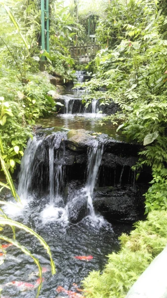 Kuala Lumpur Butterfly Park 
