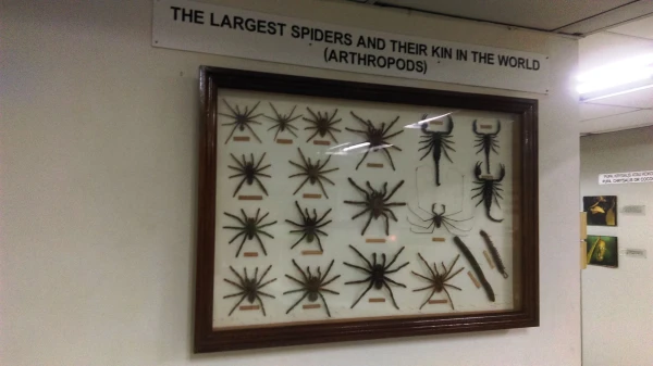 Kuala Lumpur Butterfly Park 