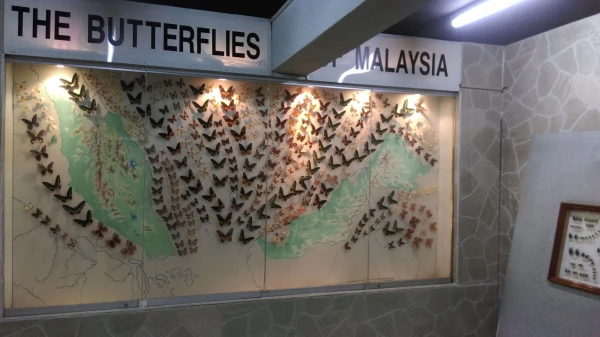 Kuala Lumpur Butterfly Park 