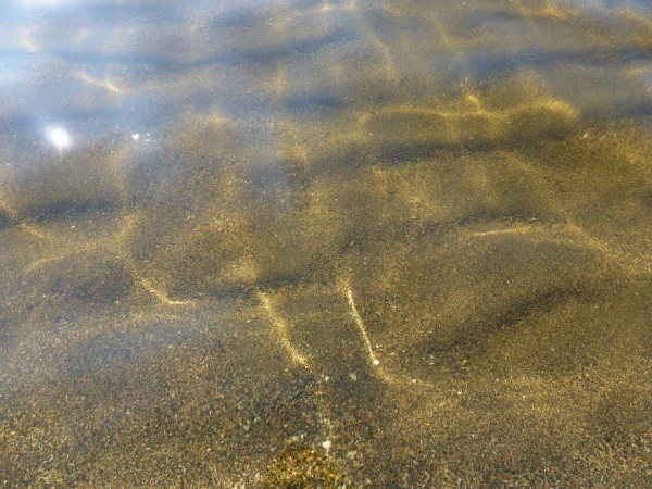 Кристально чистая вода Ладожского озера