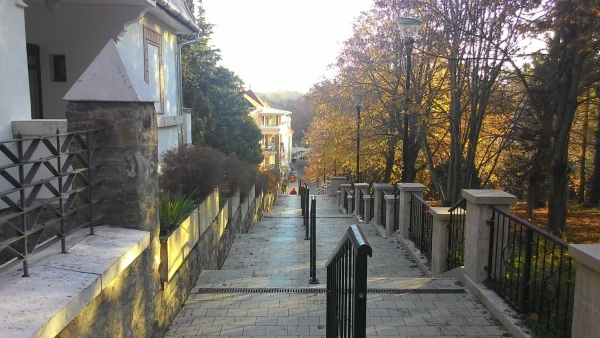 лесенка к озеру
