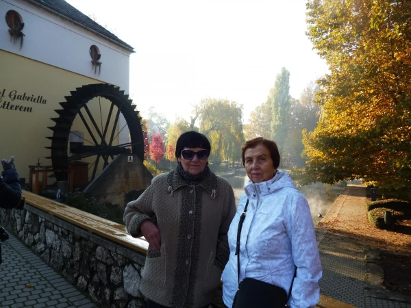 В Тапольца