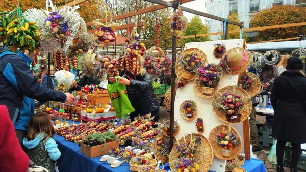 Луковые венки, косы и другие поделки