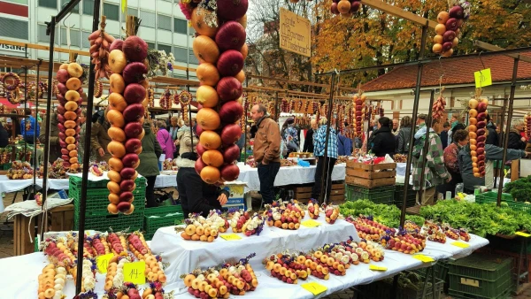 Луковые косы