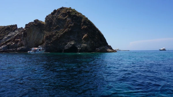 Пальмарола