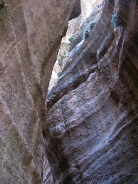 Ущелье Авакас. 