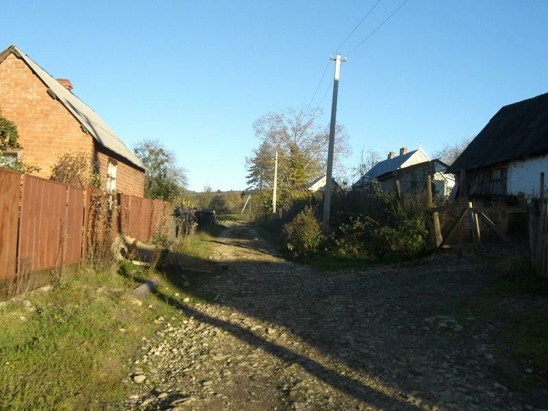 Темнолесская