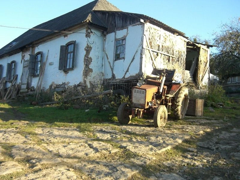 Темнолесская