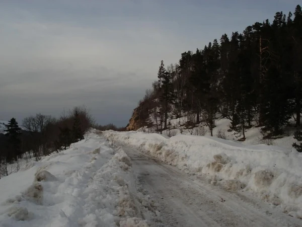 Дорога