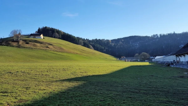 Холмы Айнзидельна (Einsiedeln)